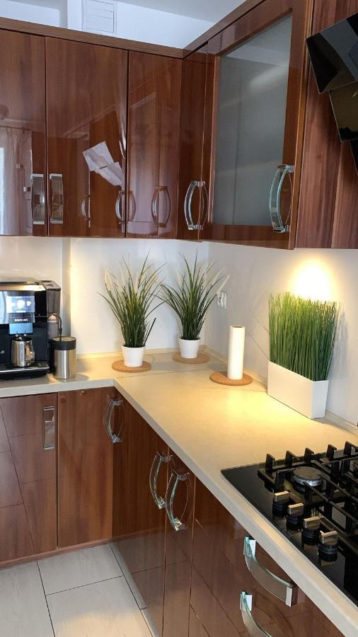 Apartment Golden Legionow Torun